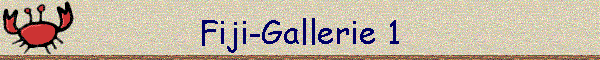 Fiji-Gallerie 1