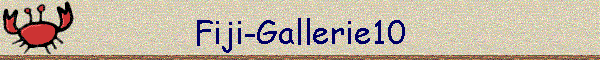 Fiji-Gallerie10