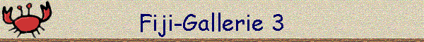 Fiji-Gallerie 3