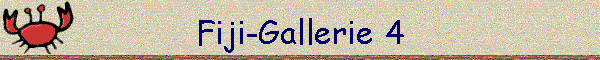 Fiji-Gallerie 4