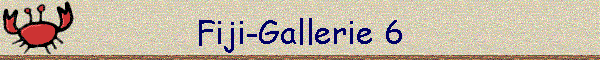 Fiji-Gallerie 6