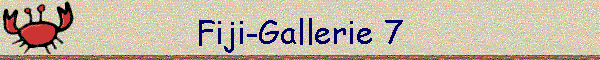 Fiji-Gallerie 7