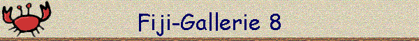 Fiji-Gallerie 8